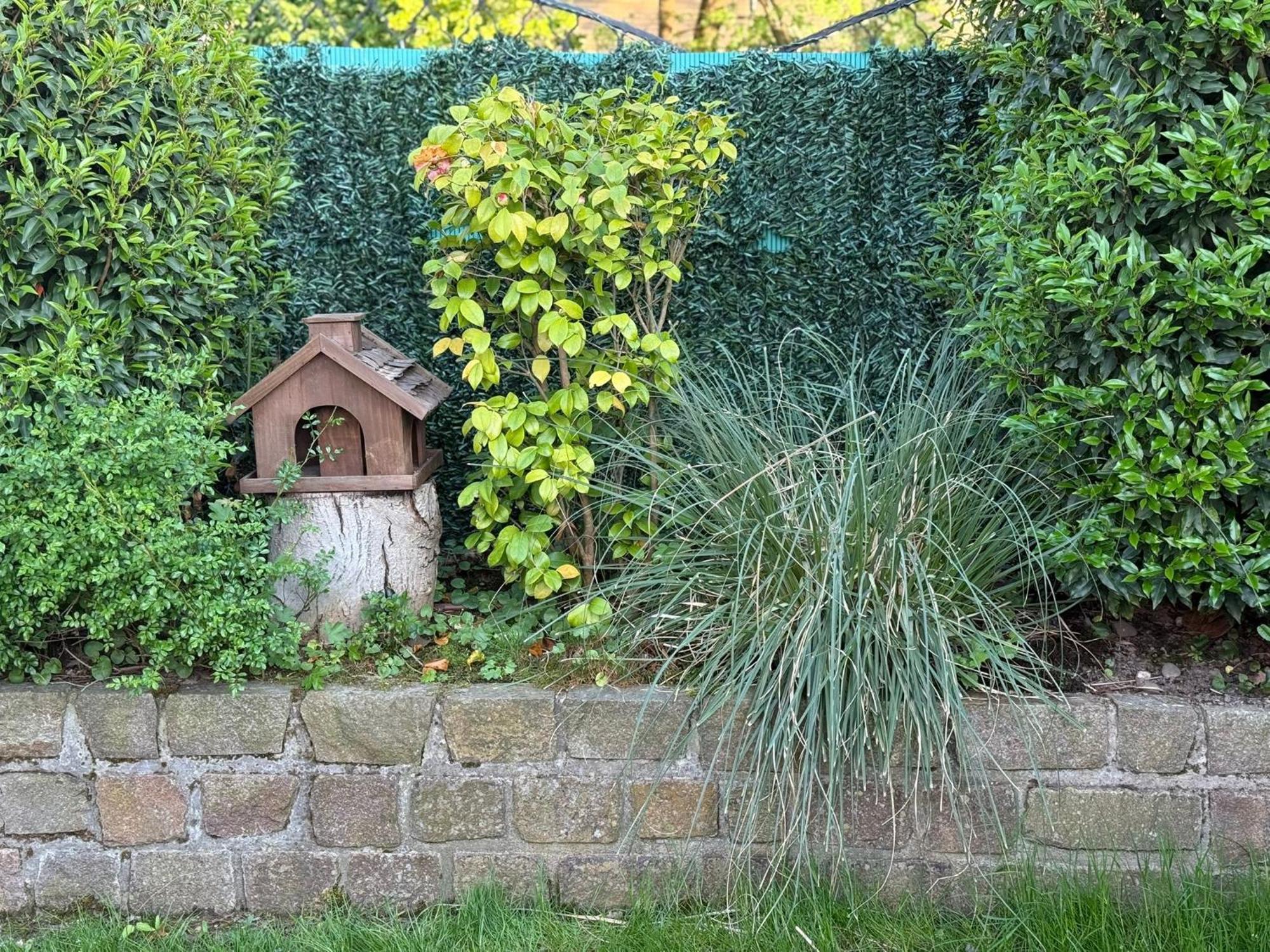 Superior Haus 120 Qm Mit Garten Ferienhaus